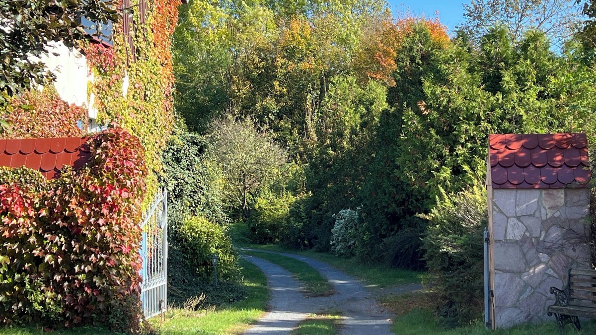 Henriettenhof Apartment | Vacation apartment with terrace & sauna and fireplace, ground floor, family-run & sunny