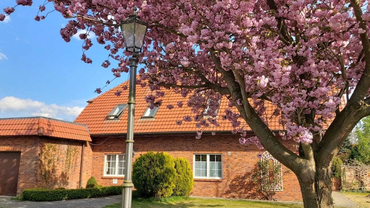 Kassow Apartment | Vacation between the Baltic Sea and the Lake District