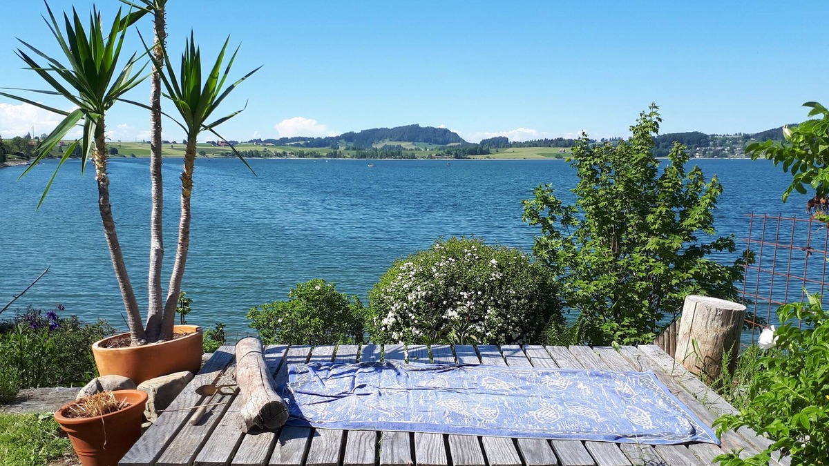 Gross Condo | Vacation dream directly on Lake Sihl with its own beach