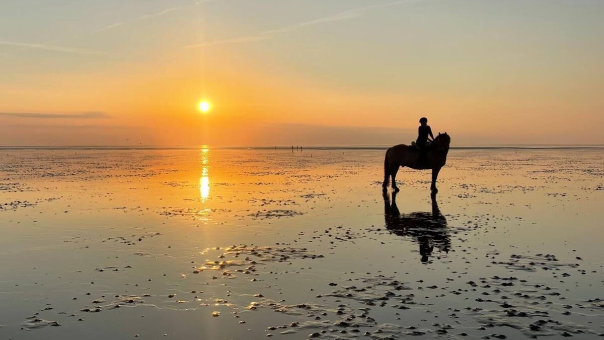 Holte-Spangen House | Vacation home at Angerplatz