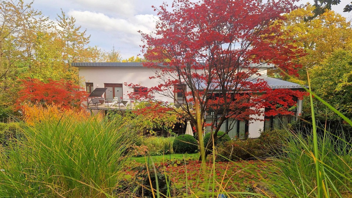 Frankenberg House | Vacation home for 10 guests with 300m² in Frankenberg (Eder) (271738)