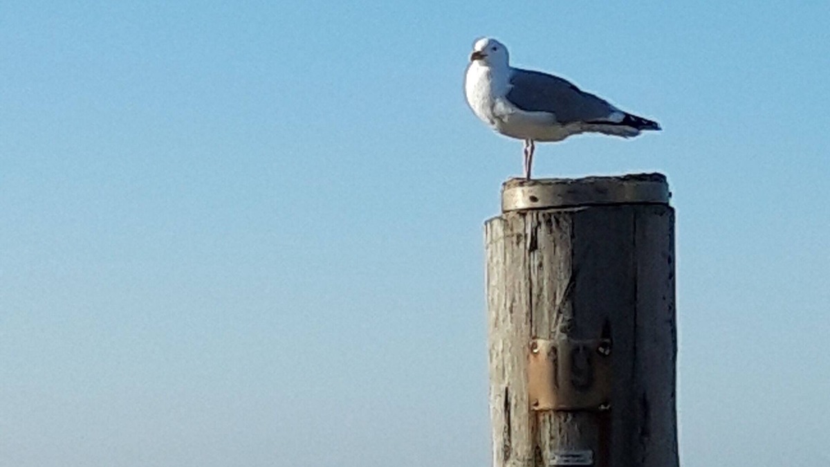 Bredstedt House | Vacation home for 3 guests with 66m² in Bredstedt (133618)