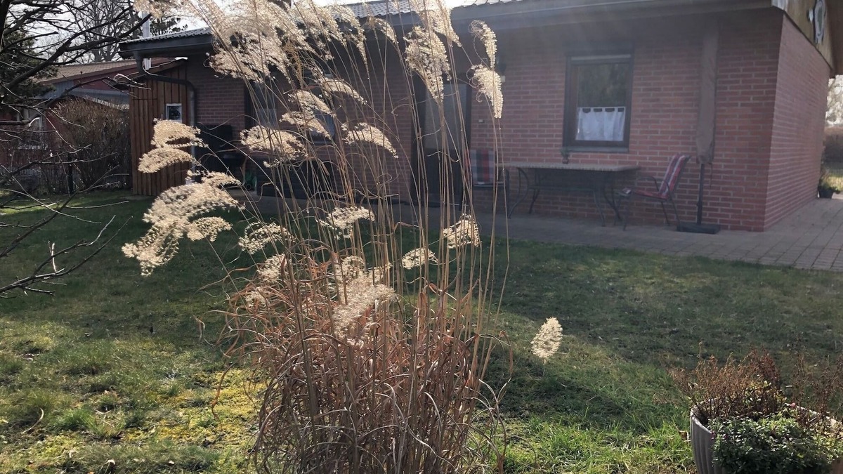 Muritz House | Vacation home for 4 guests with 54m² in Dahmen (272754)