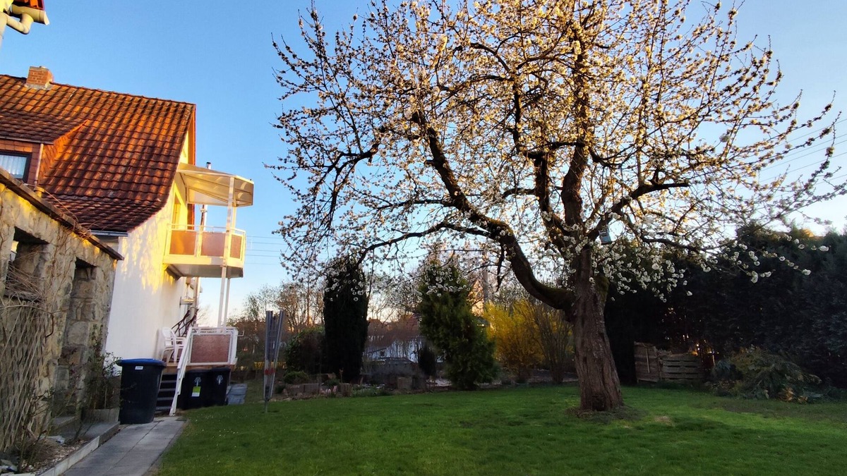 Barchfeld House | Vacation home for families/groups with sauna, oven and large garden with barbecue