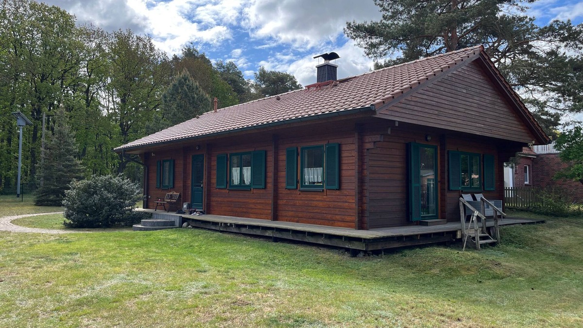 Viereck Cabin | Vacation home on the edge of the forest