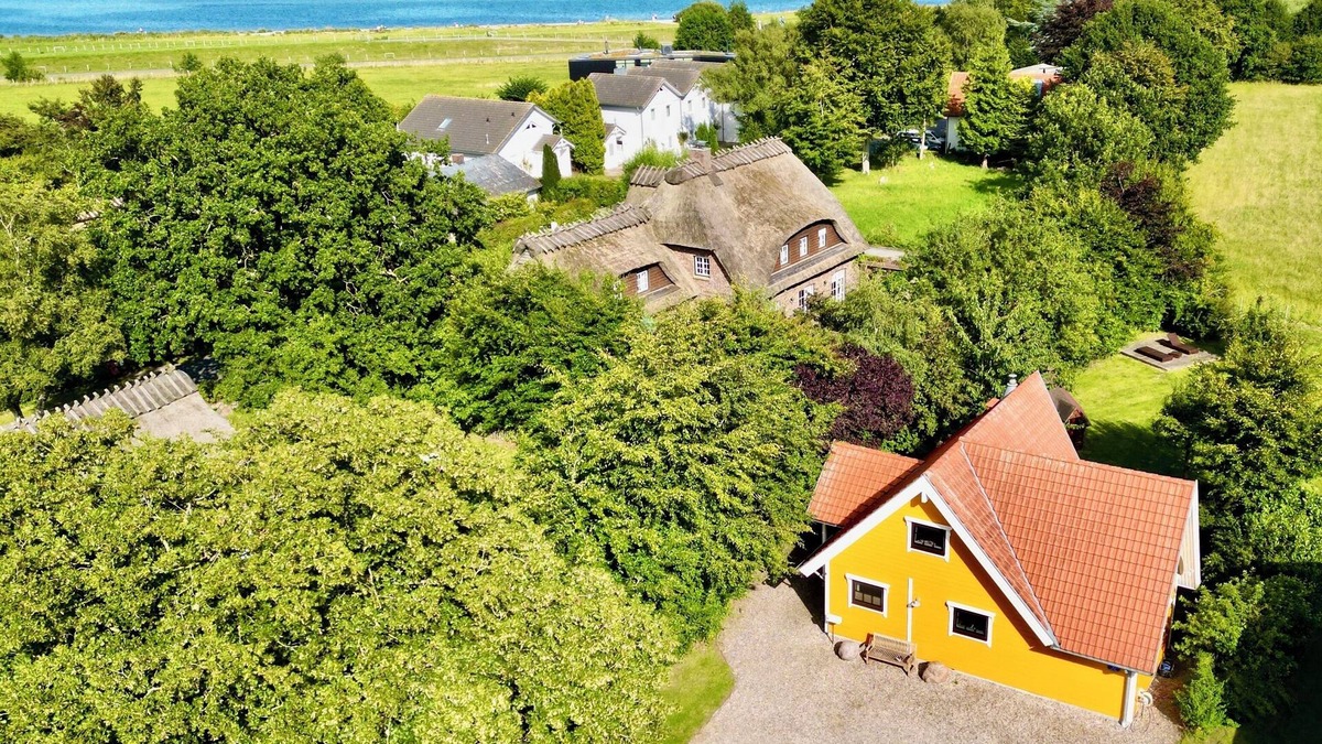 Falshoft House | Vacation home "Sonnenblumenhaus" in Falshöft for up to 4 persons and 2 dogs - 3