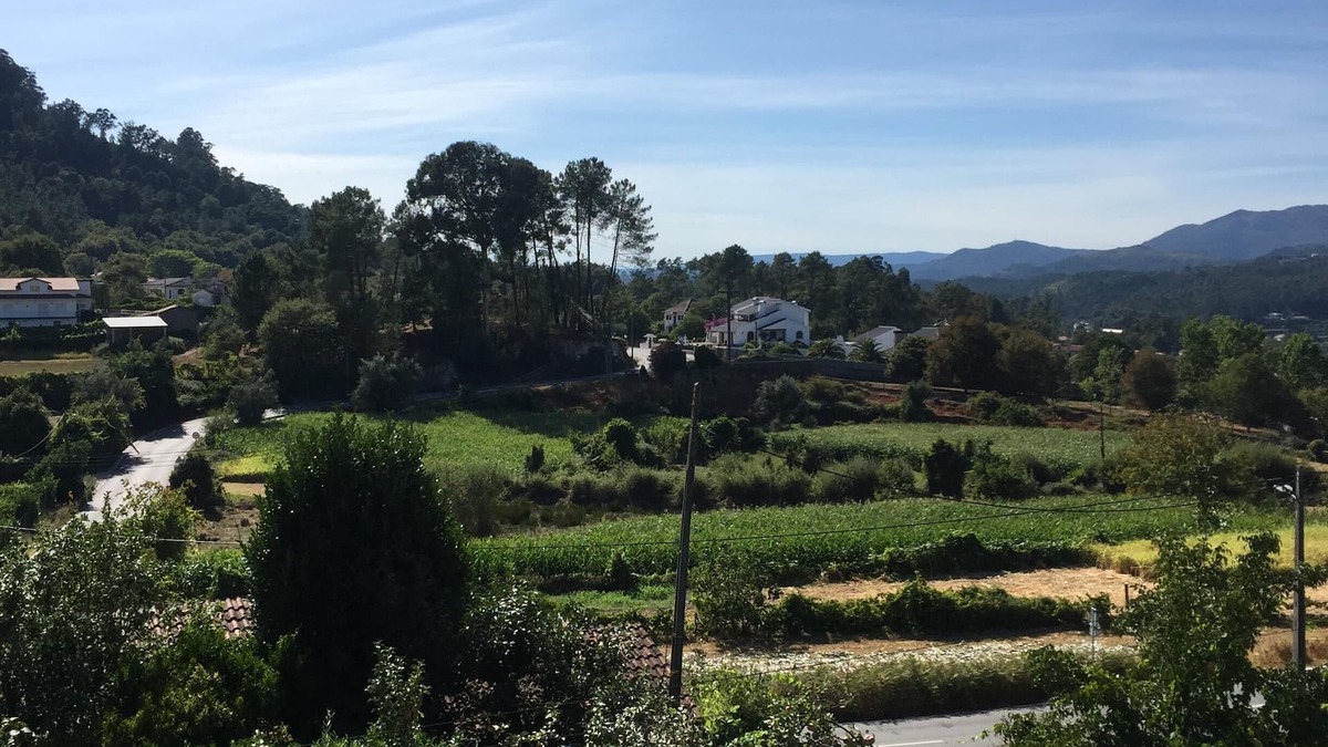 Fatauncos House | Vacation Home vouzela - Domain of Seeds, Lda