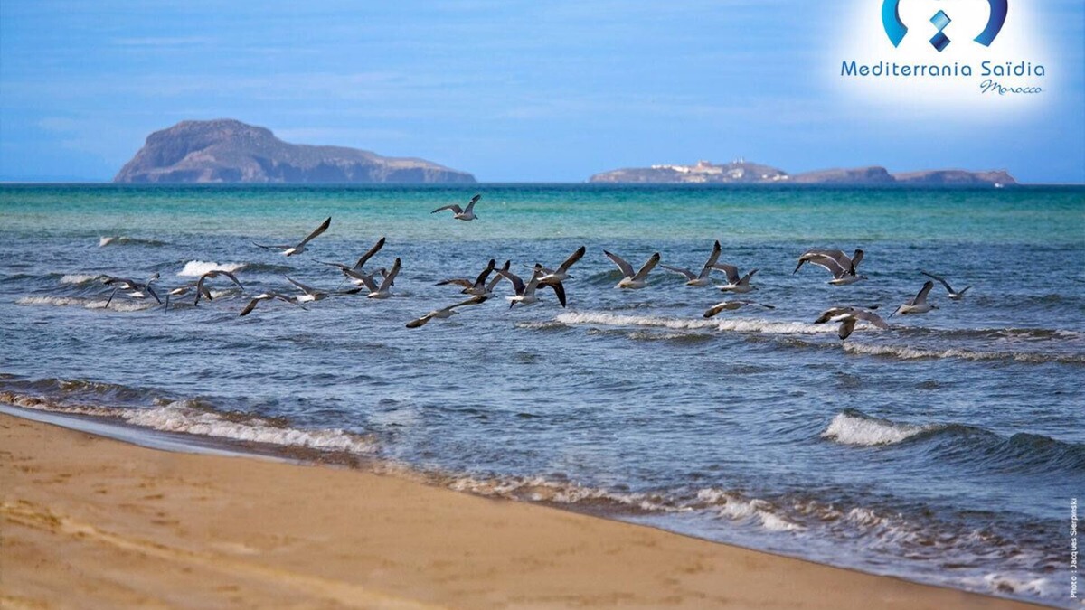 Saidia Villa | Vacation villa facing the beach