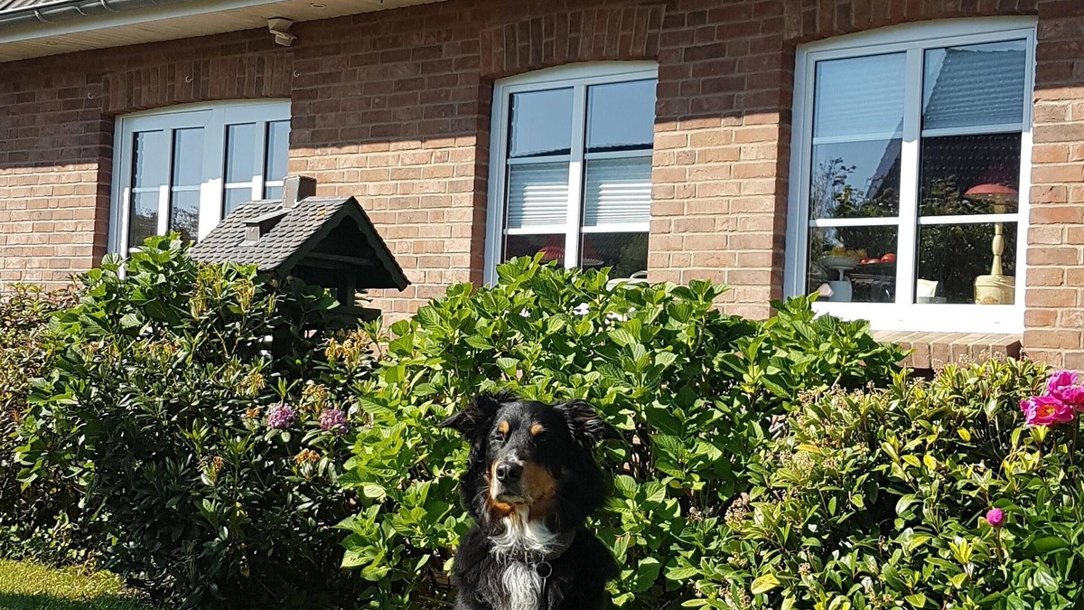 Klanxbuell Apartment | Vacation with a dog in North Frisia