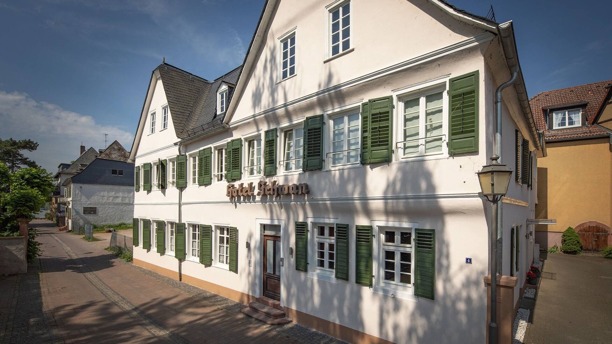 Mainz-Bingen Apartment | Vacations in the Rheingau Monument near the beach - Hotel Schwan (with charging station)