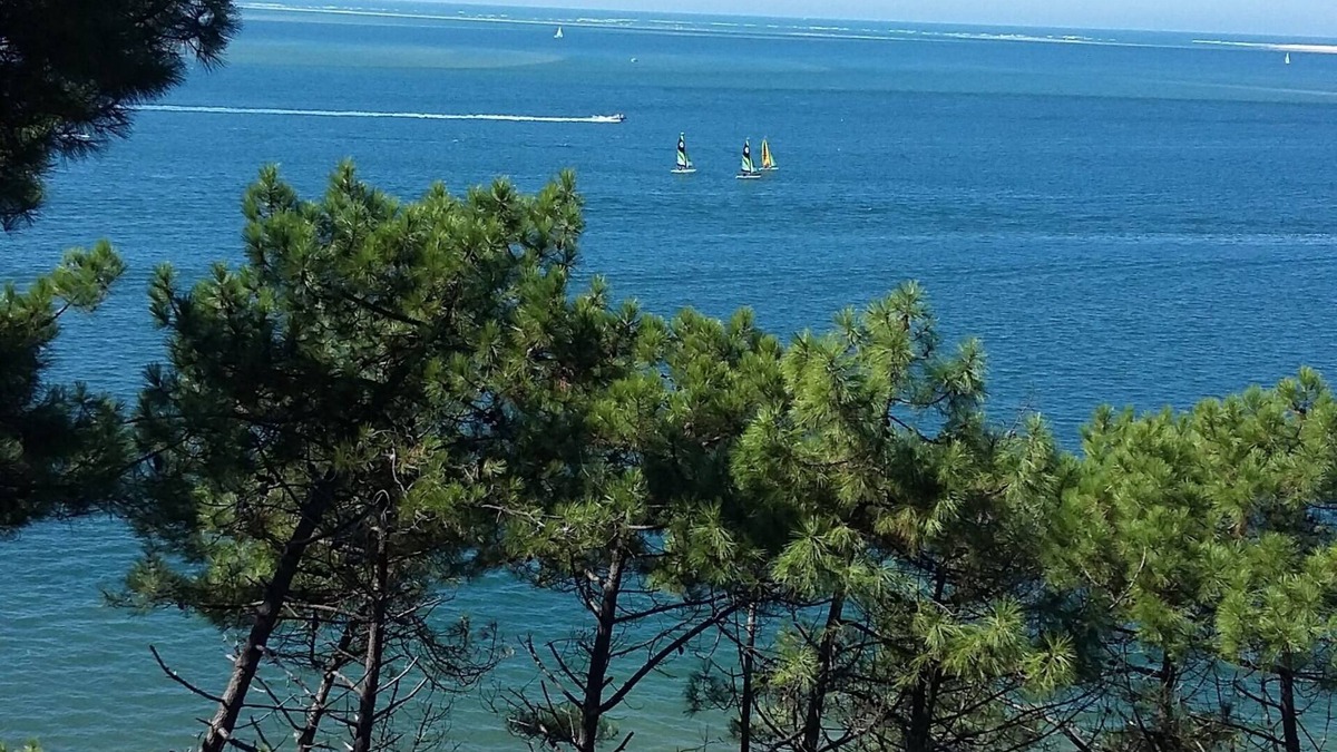Salles House | Vacations near Arcachon in nice new house * - French property