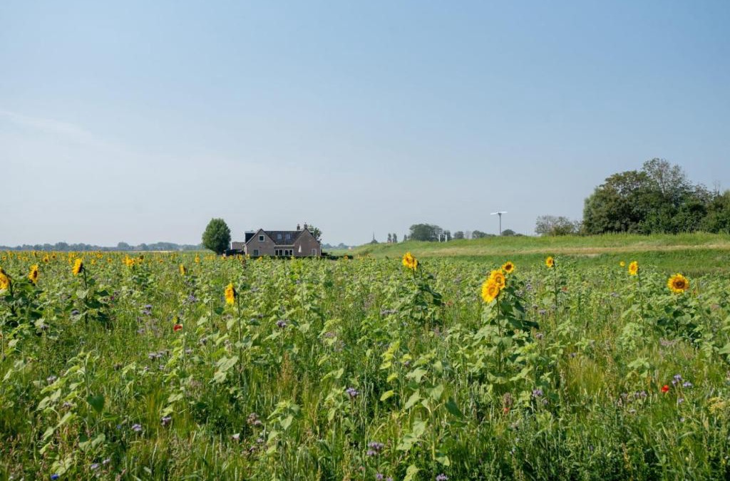 Holwerd House | Vakantiewoning Oer it fjild