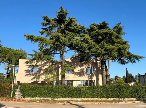 Novigrad Villa | Valdora luxury villa with pool