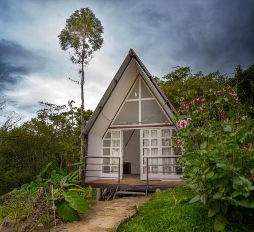 Cuispes Other | Valle Yumbilla Yacu