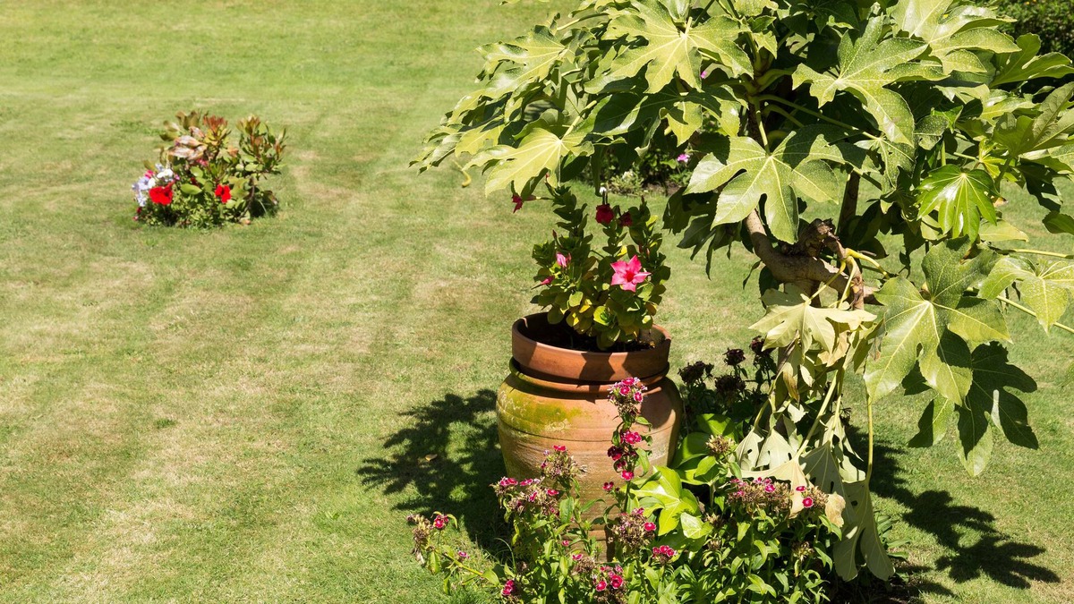 A Ver-o-Mar Hotel | Varzinn Hotel