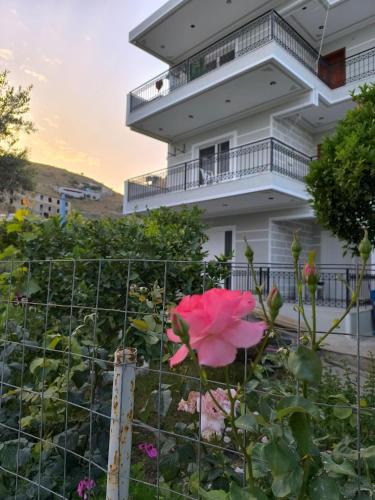 Qeparo Apartment | Vaya Guesthouse