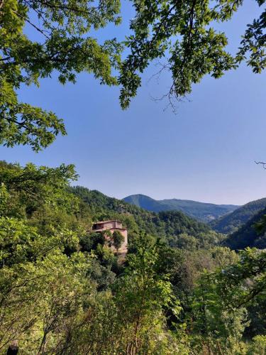 Parchiule Bed & Breakfast | Vegan bed and breakfast Colle della luna