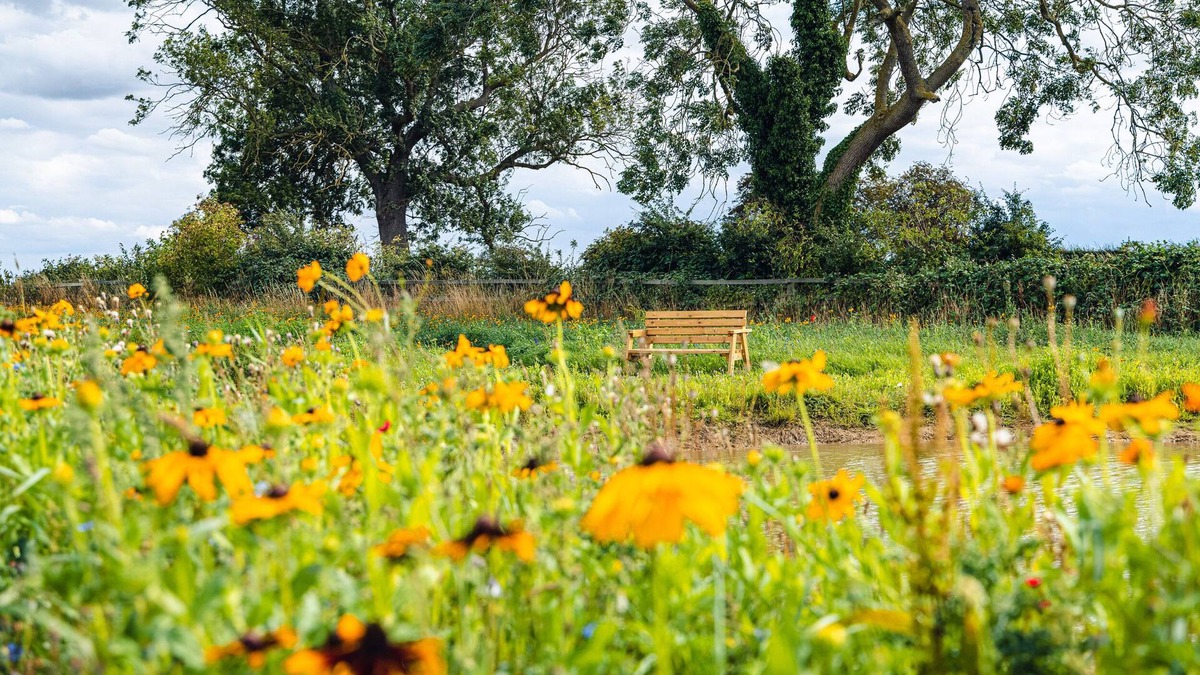 Arnold Cottage | Veiko - Mayflower Meadow