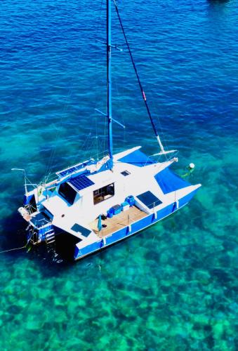 Ossos Boat Rental | Veleiro Catamarã