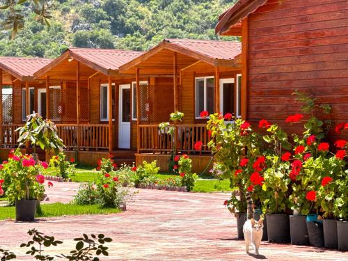 Adrasan Other | Venüs Gold Bungalov Adrasan