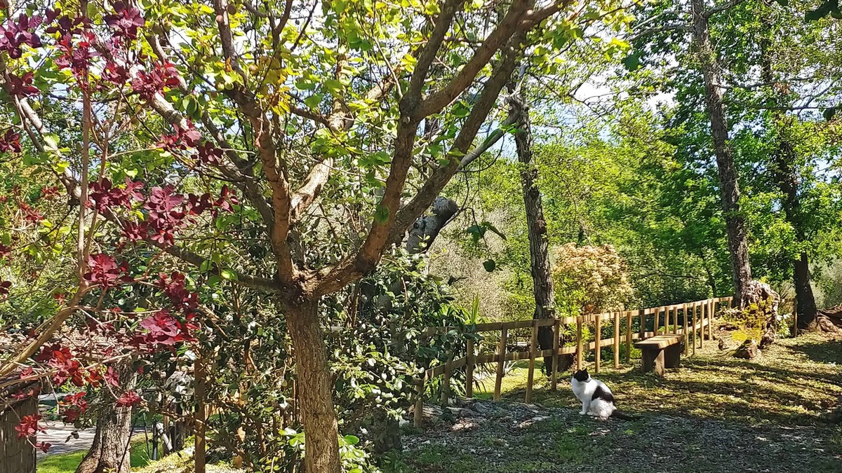 San Giovanni a Piro Hotel | Verdeblu House