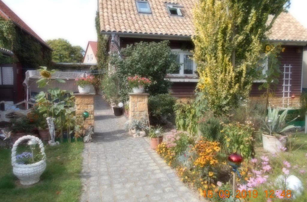 Dankerode Apartment | Vermiete sehr schönes Apartment in Dankerode im Harz