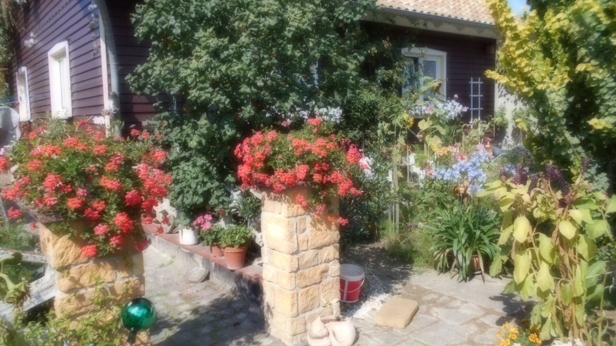 Dankerode Apartment | Vermiete Sehr Schönes Apartment/ferienwohnung in Dankerode im Harz