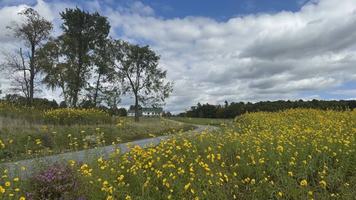 New Haven Apartment | Vermont Modern Farmhouse + 46 acres + spectacular