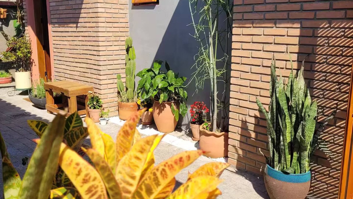 Ressaca House | Veruska's Little House
