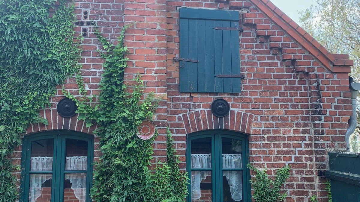 Altbarnim Cabin | Verwunschenes Gästehaus im Oderbruch