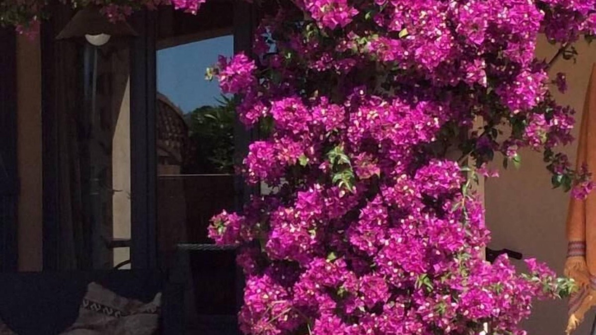 Ollioules House | VERY NICE SITE IN THE VAR- PLEASANT HOUSE-