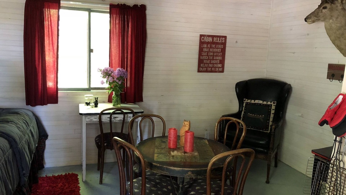 Petoskey Cabin | very private,adorable rustic cabin -out house , full shower house off barn