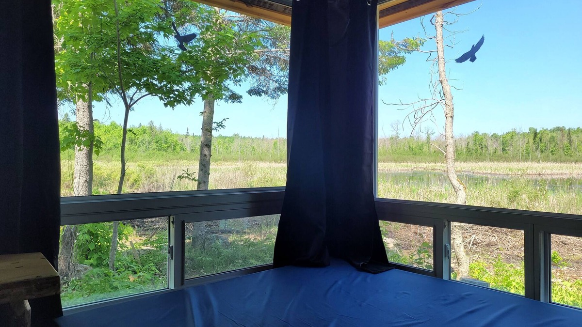 Golden Lake Cabin | Very Private, Secluded, Nature, Pet Friendly, NO NEIGHBOURS -Red Pine cabin
