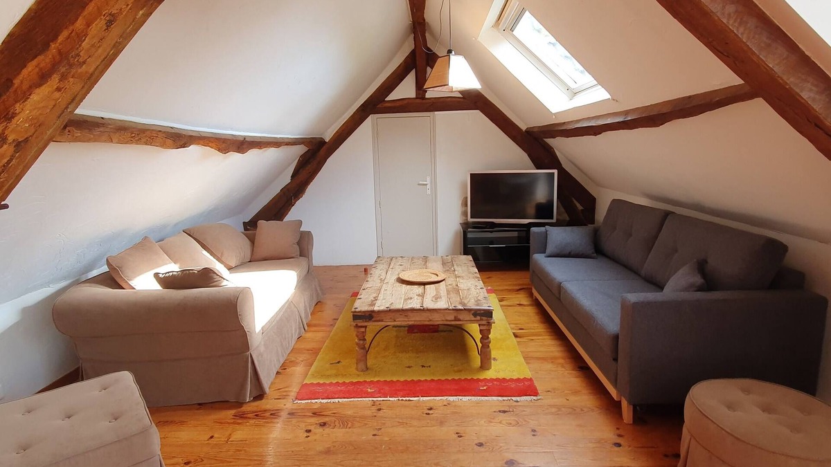 Saint-Aubin-le-Monial Apartment | Very spacious apartment close to a fishing lake and pedestrian zone.