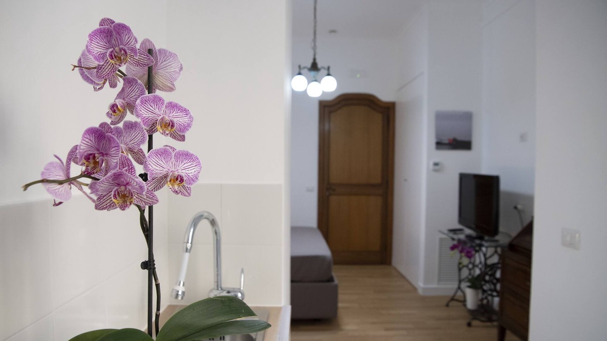 Santa Lucia Apartment | Vesuvio Blu Apartment in the center of Naples