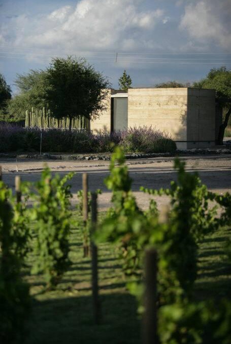 Soledad de Graciano Sanchez House | Viñedo Bodega 1881