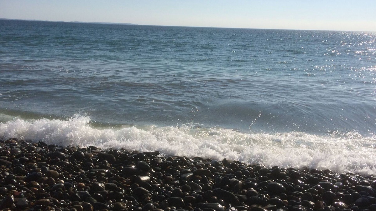 Roch Bed & Breakfast | Victoria Inn Brewhouse B&B