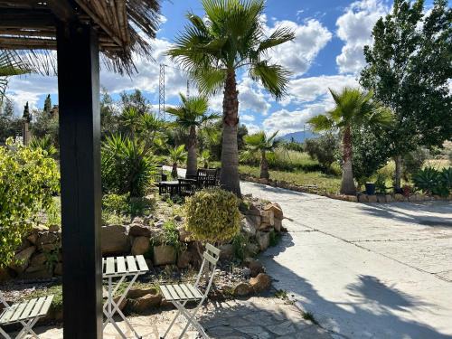 Cartama Villa | Victoria & Olivar