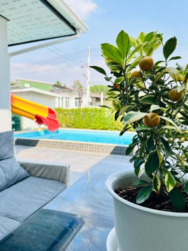 Nong Prue Villa | Victoria Poolvilla Pattaya by Chon