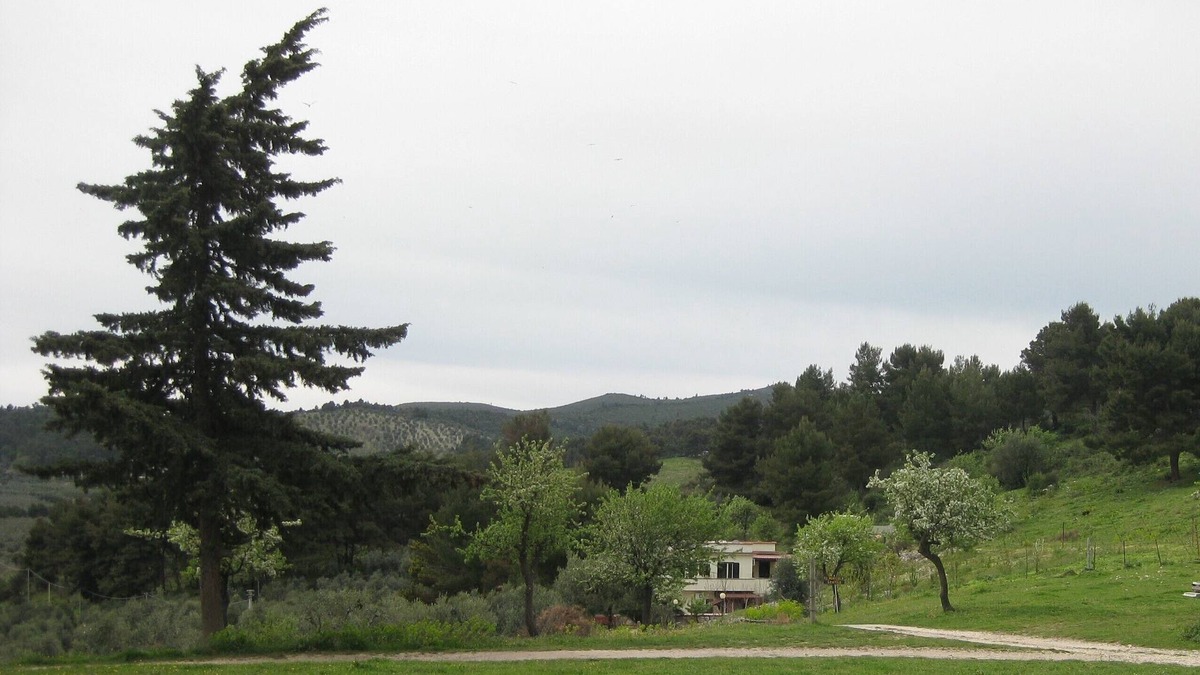 Mandrione Apartment | Vieste Apartment on a farm in direct contact with nature