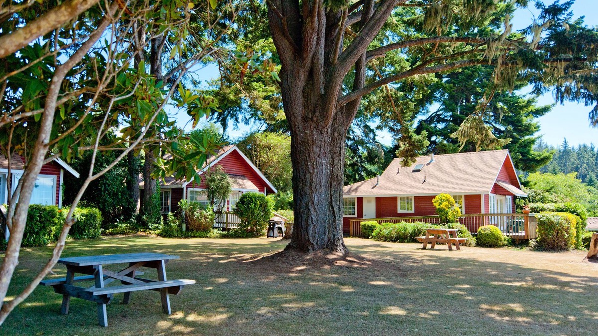 Trinidad Hotel | View Crest Lodge