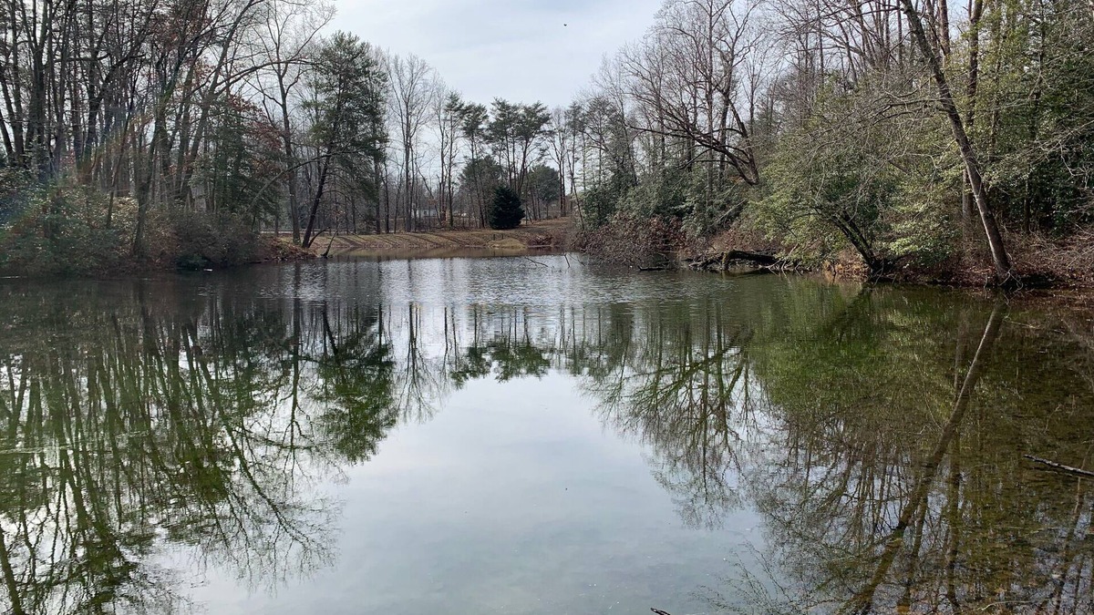 Oldhams Apartment | View Peaceful Pond while lounging in this open studio apartment!