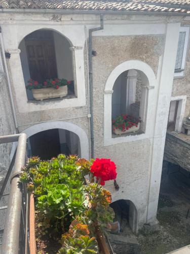 Morano Calabro Bed & Breakfast | Vigna Della Signora