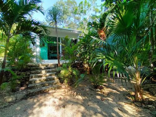 Tulum City Center House | Viila Ixchel jungle pool
