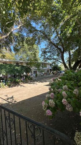 Kokkinon Neron Apartment | Villa ΝOSTALGΙΑ