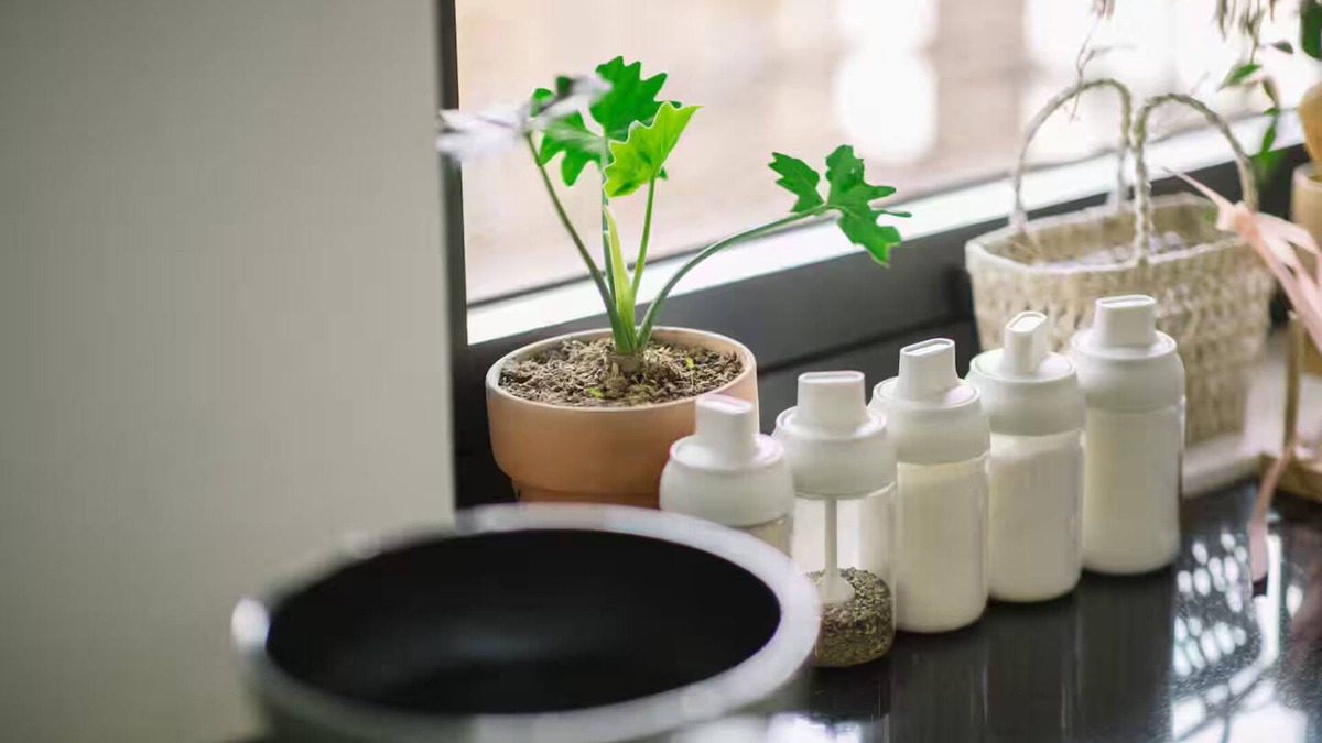 Hue Villa | Villa 7 rooms pool near mall