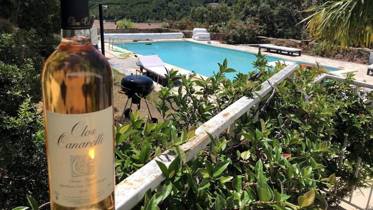 Tarcu House | Villa Acqua Luce sea view pool in Tarco