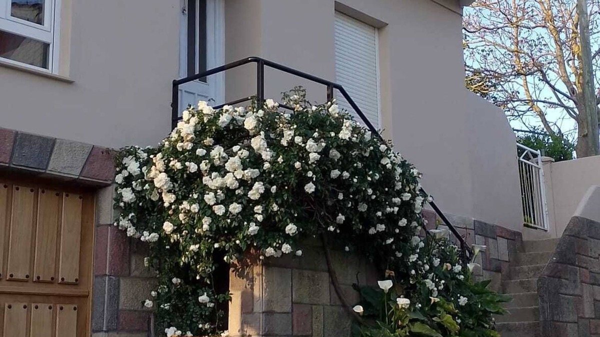 Gozon House | Villa Adelina. Your country house.