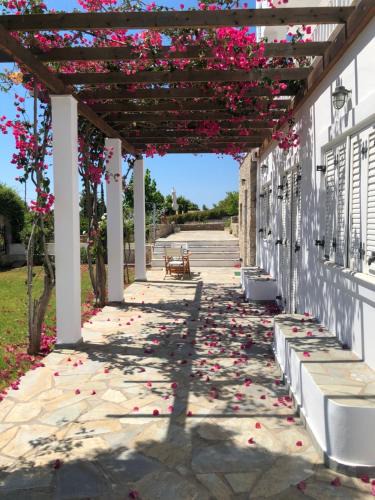 Agii Anargiri House | Villa Alexandros