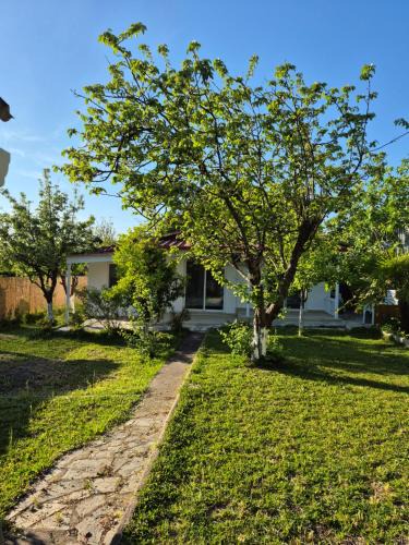 Nea Propontida House | Villa Aspri